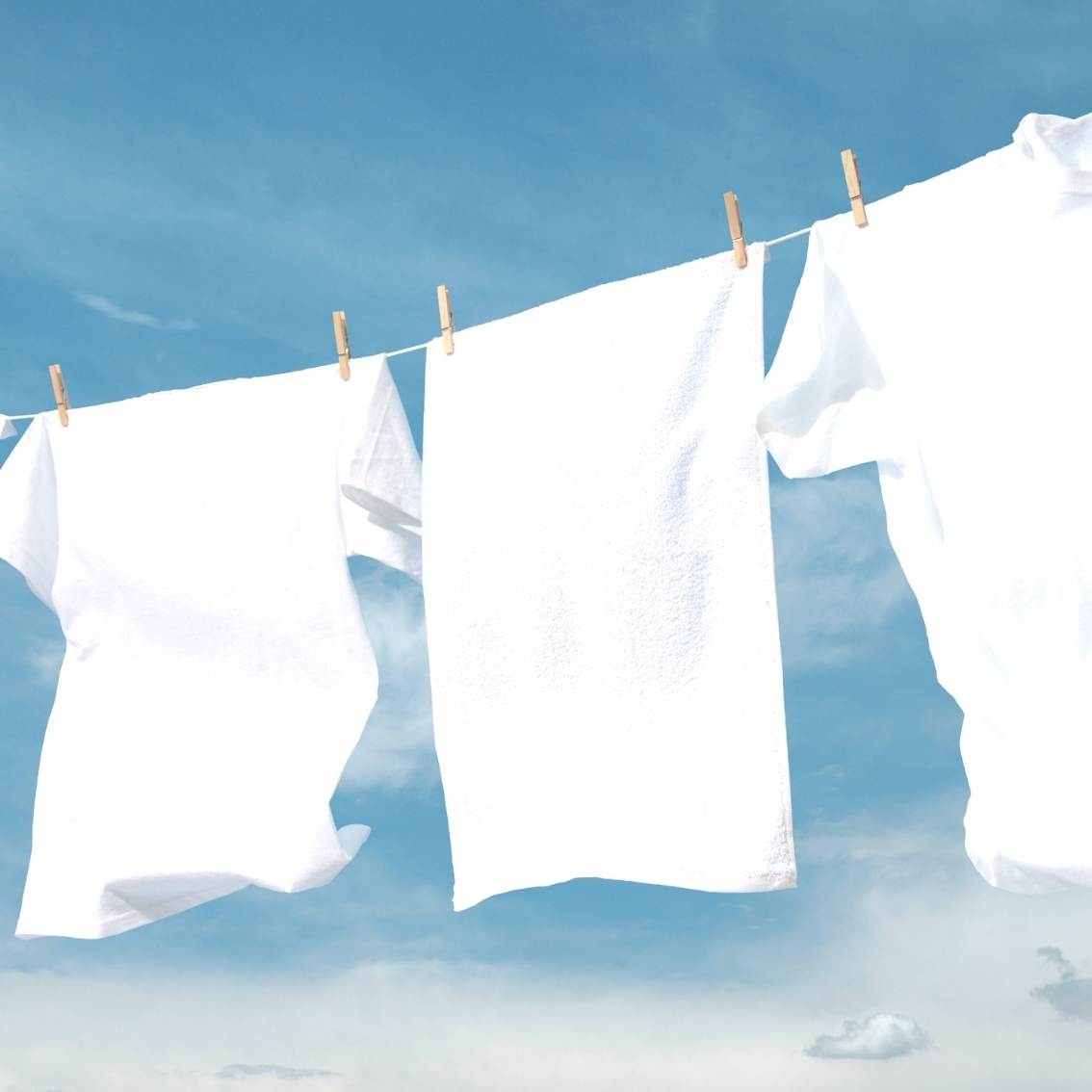 Linen Fresh Wax Melt - Scentsational Home