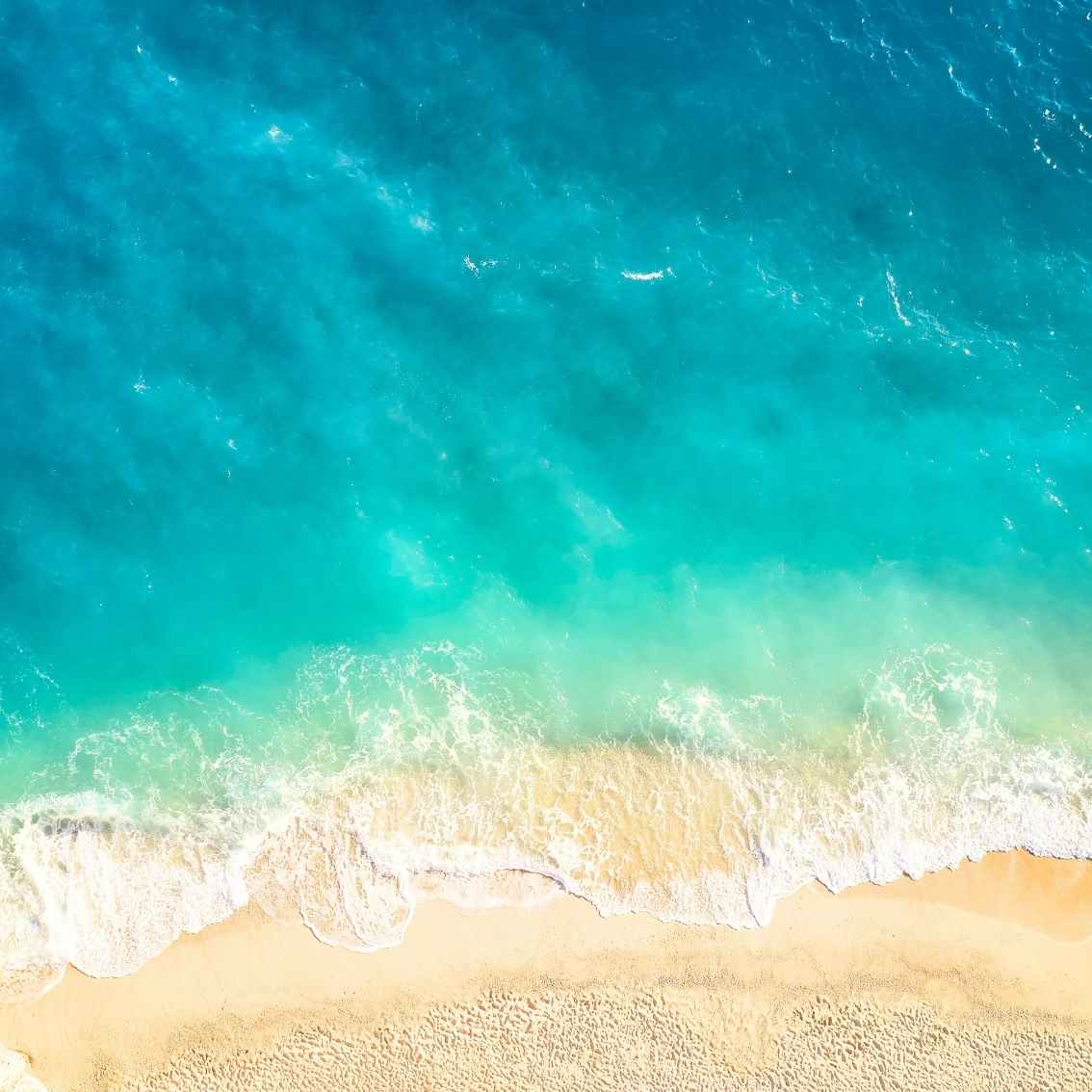 Ocean Breeze Wax Melt - Scentsational Home