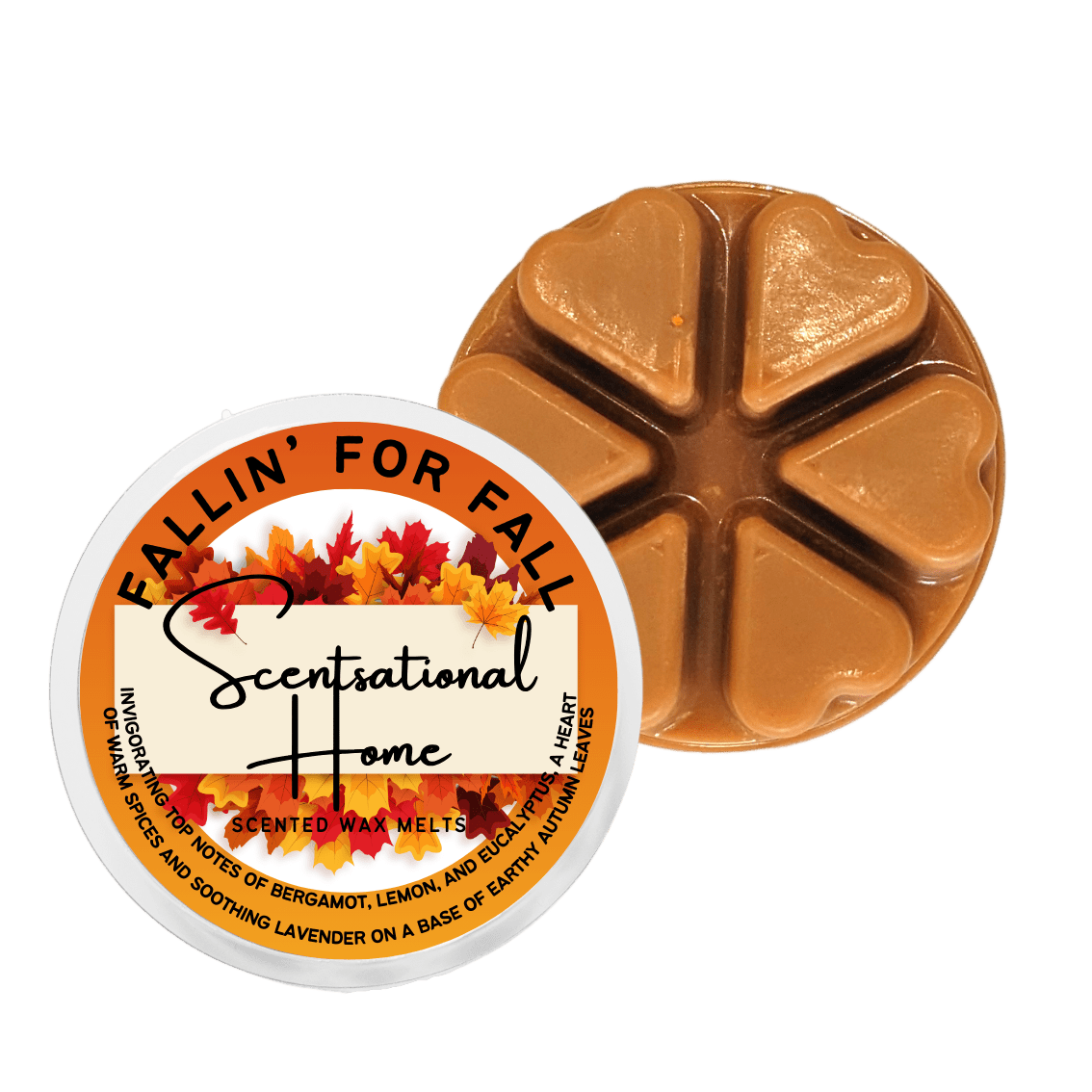 Woody & Musk - Scentsational Home