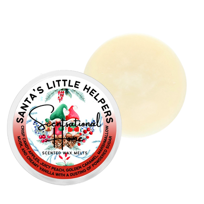 Santa's Little Helper Wax Melt