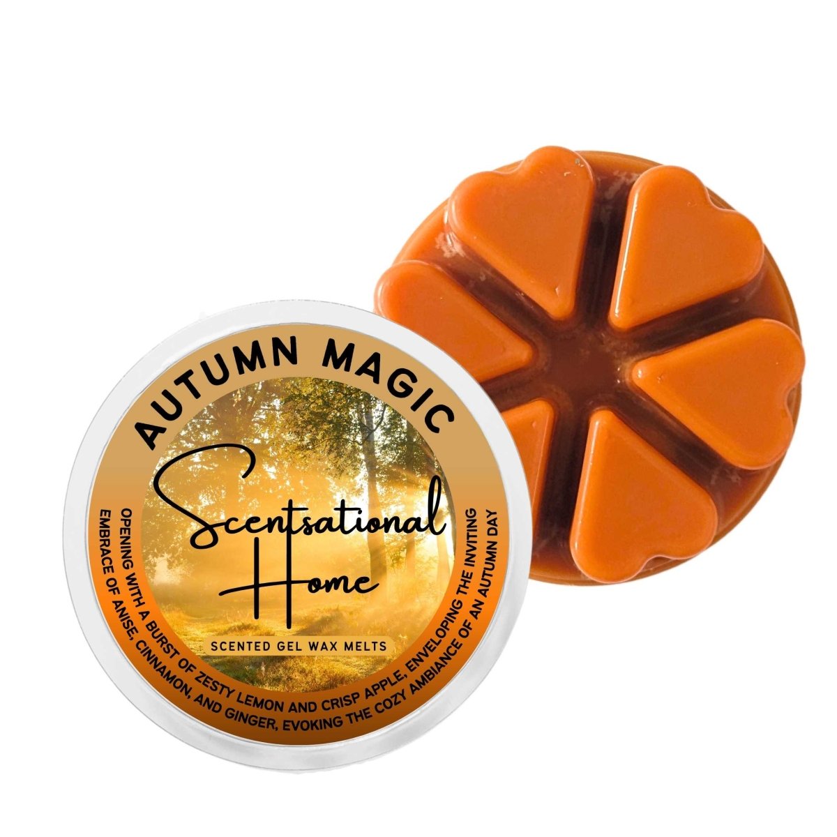 Autumn Magic Wax Melt - Scentsational Home