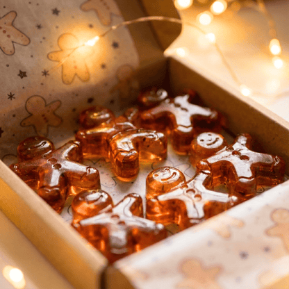 Gingerbread Gel Wax Melts with Gingerbread House Wax Warmer Set - Scentsational Home