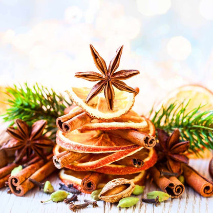 Winter Spice Wax Melt - Scentsational Home